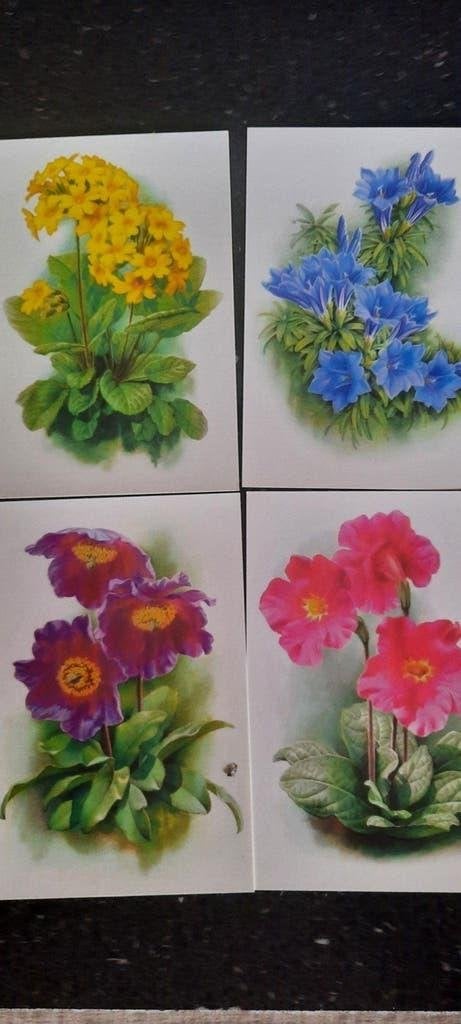 Set van 4 Chinese ansichtkaarten met bloemen, Ophalen of Verzenden, Oost-Azië
