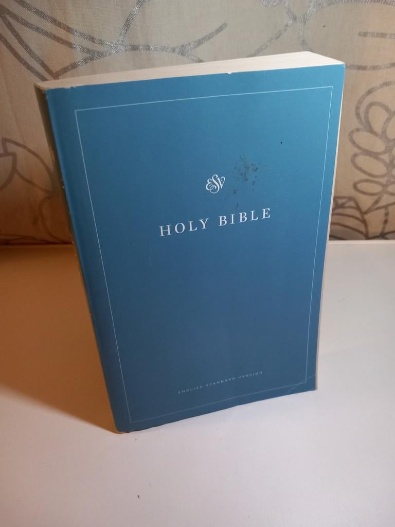 ESV Bible, Ophalen of Verzenden, Gelezen, Christendom | Protestants