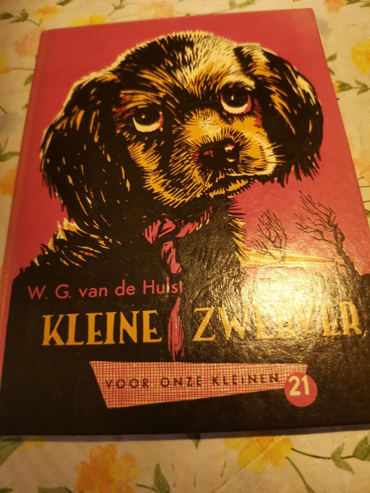 Kleine Zwerver - W.G. van de Hulst - Vintage kinderboek, Ophalen of Verzenden, Gelezen, W.G. van de Hulst, Fictie algemeen