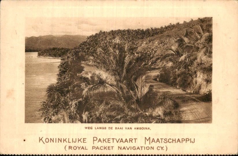 Nederlands Indië - Baai Amboina - 1920, Ophalen of Verzenden, Voor 1920, Gelopen