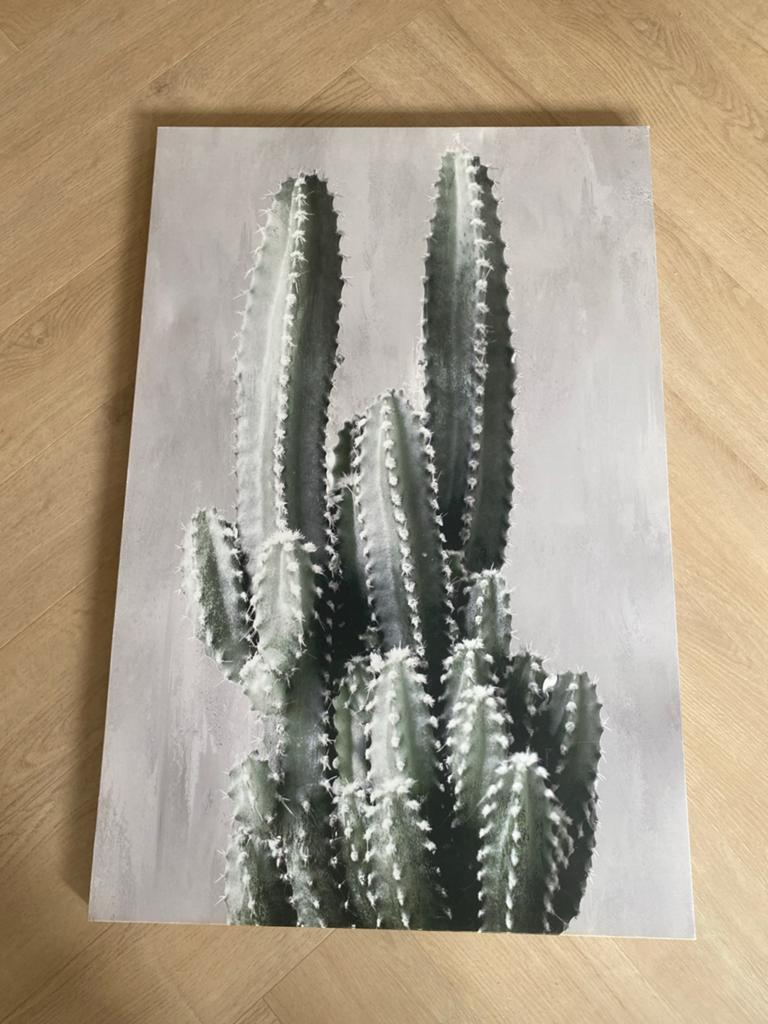 Canvas schilderij cactus 90x60cm met bevestigingsmateriaal, Ophalen, Nieuw, 50 tot 75 cm, Print