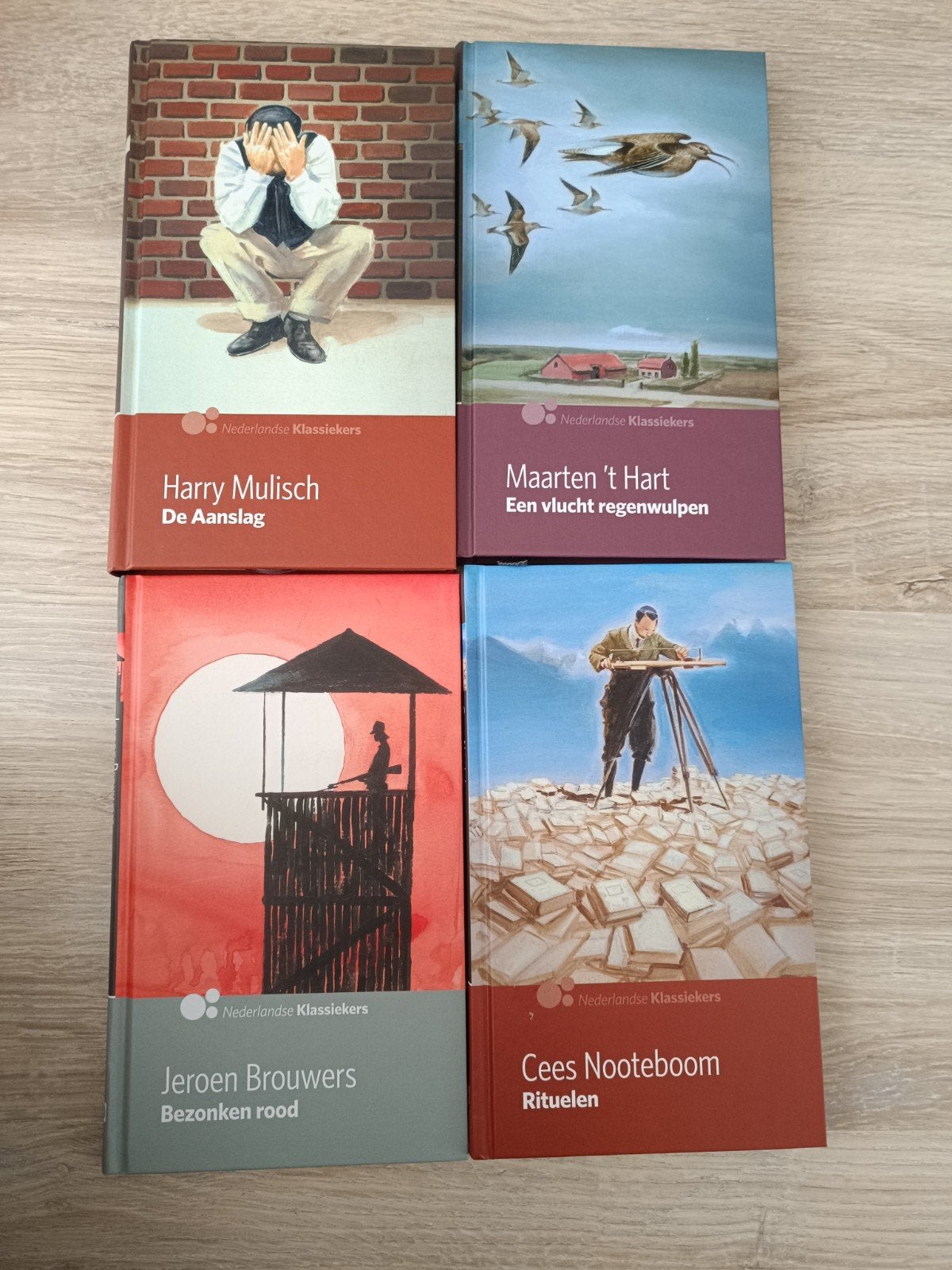 Nederlandse Klassiekers: Harry Mulisch, Maarten 't Hart,..., Boeken, Ophalen of Verzenden, Zo goed als nieuw, Harry Mulisch, Maarten 't Hart, Jeroen Brouwers, Cees Nooteboom
