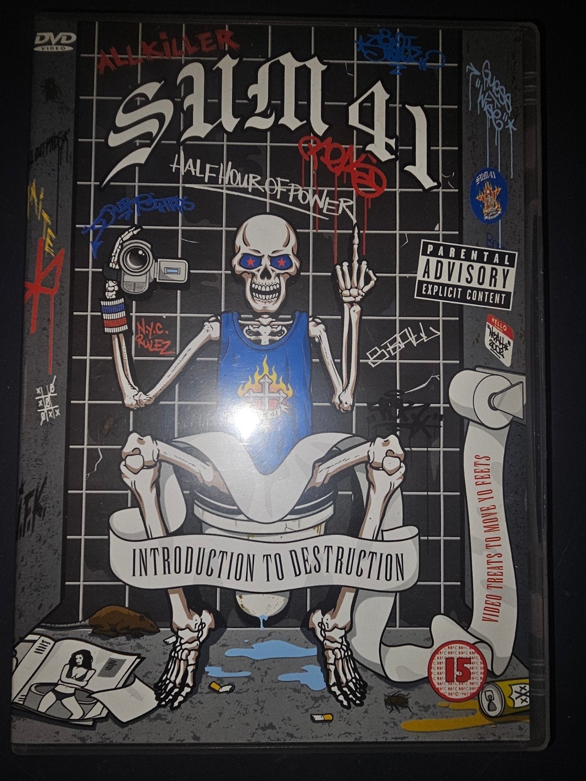 Sum 41 - Introduction to Destruction DVD, Vanaf 16 jaar, Ophalen of Verzenden, Gebruikt
