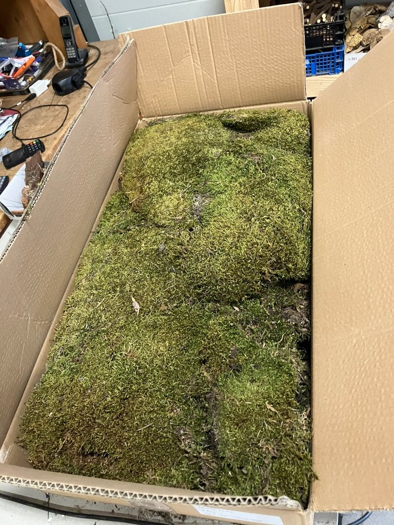 20 dozen platmos, Ophalen, Nieuw