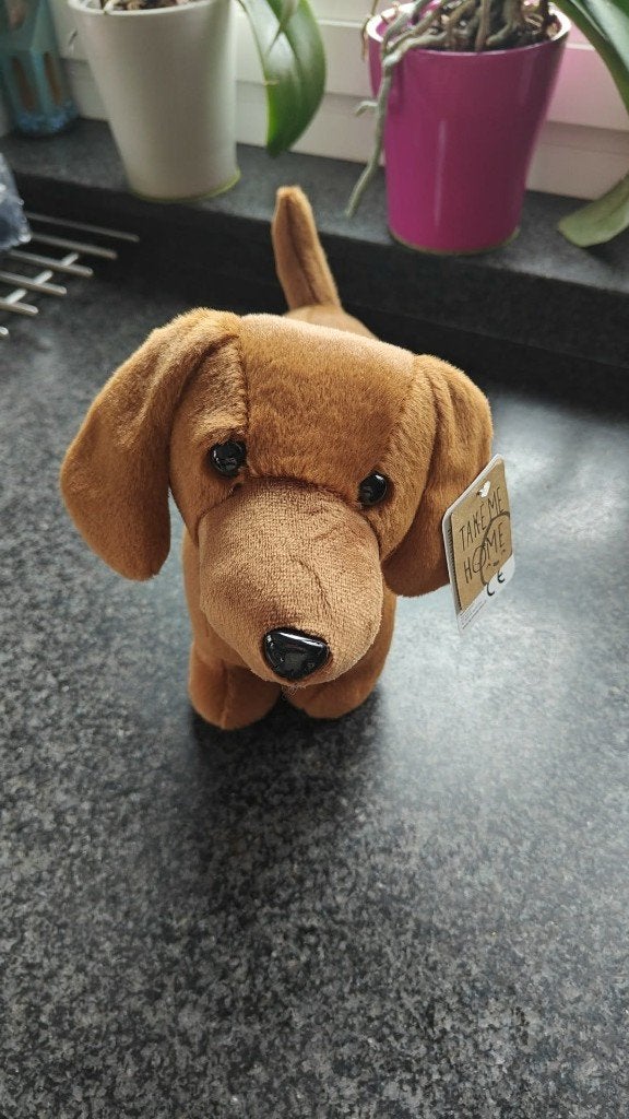 Take Me Home Teckel bruine Knuffel 33 cm – Nieuw, Ophalen, Overige merken, Overige karakters, Nieuw