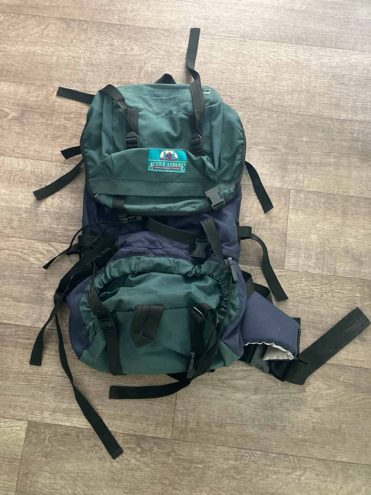 Active Leisure rugzak- Groen/Blauw (Gebruikt), Overige merken, Gebruikt, 25 tot 40 cm, Ophalen of Verzenden