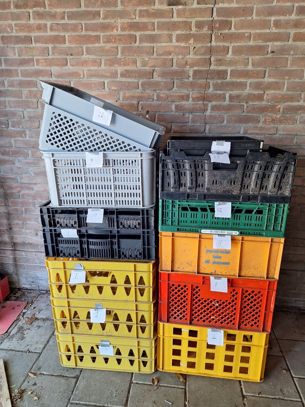 Diverse plastic kratten, ideaal voor opslag en transport, Ophalen, Gebruikt, 40 tot 60 cm, 50 tot 75 cm
