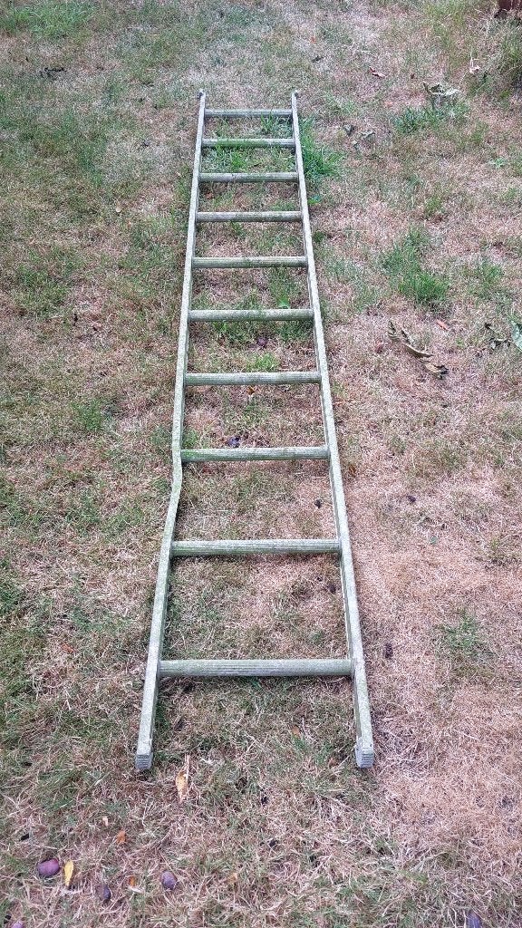 ladder, Doe-het-zelf en Verbouw, Ladders en Trappen, Ophalen, Gebruikt, Ladder, 2 tot 4 meter