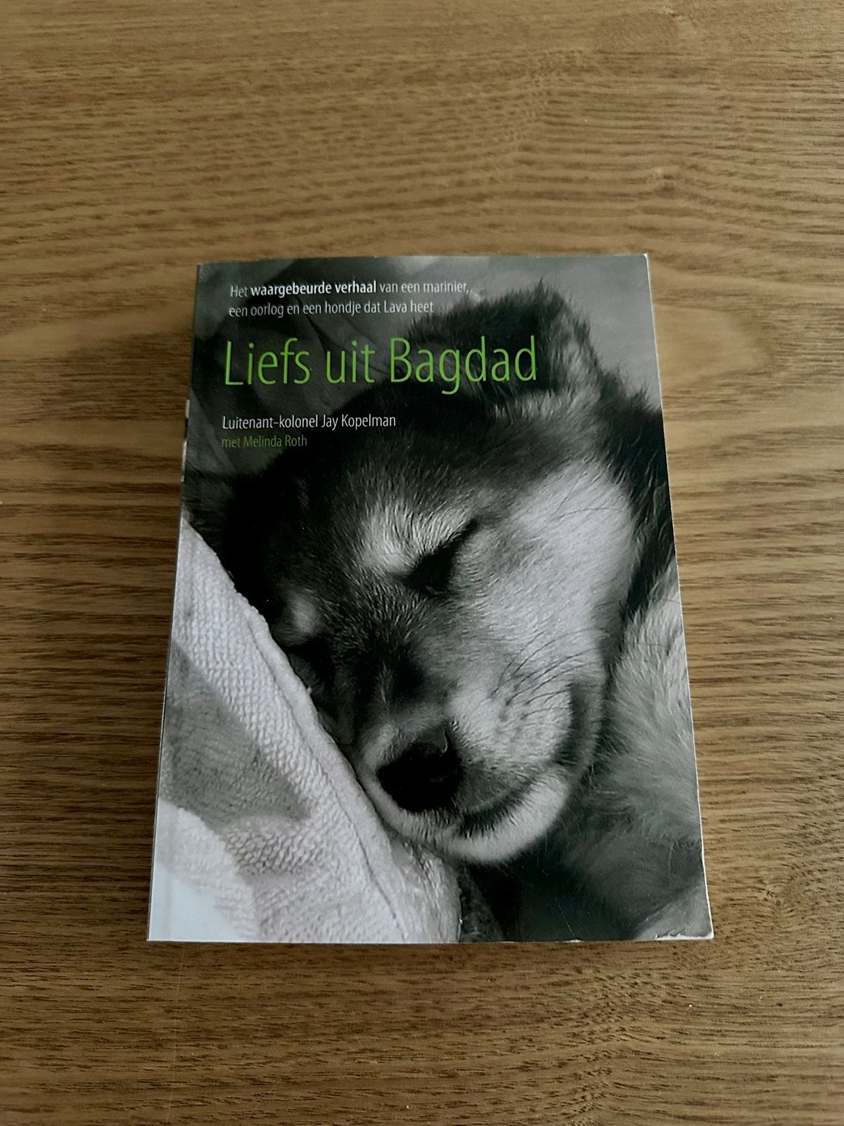 Jay Kopelman - Liefs uit Bagdad, Ophalen of Verzenden, Gelezen