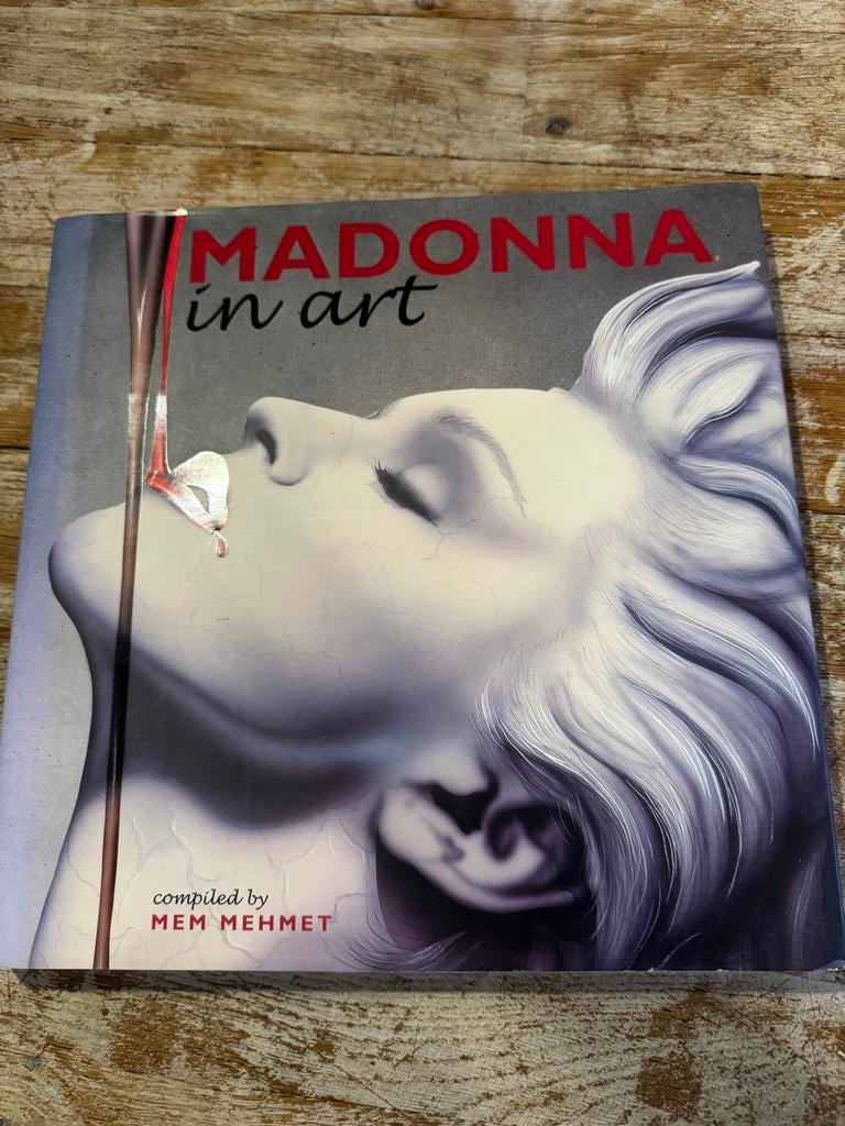 Madonna in Art - boek over Madonna als kunsticoon, Ophalen, Gelezen, Artiest