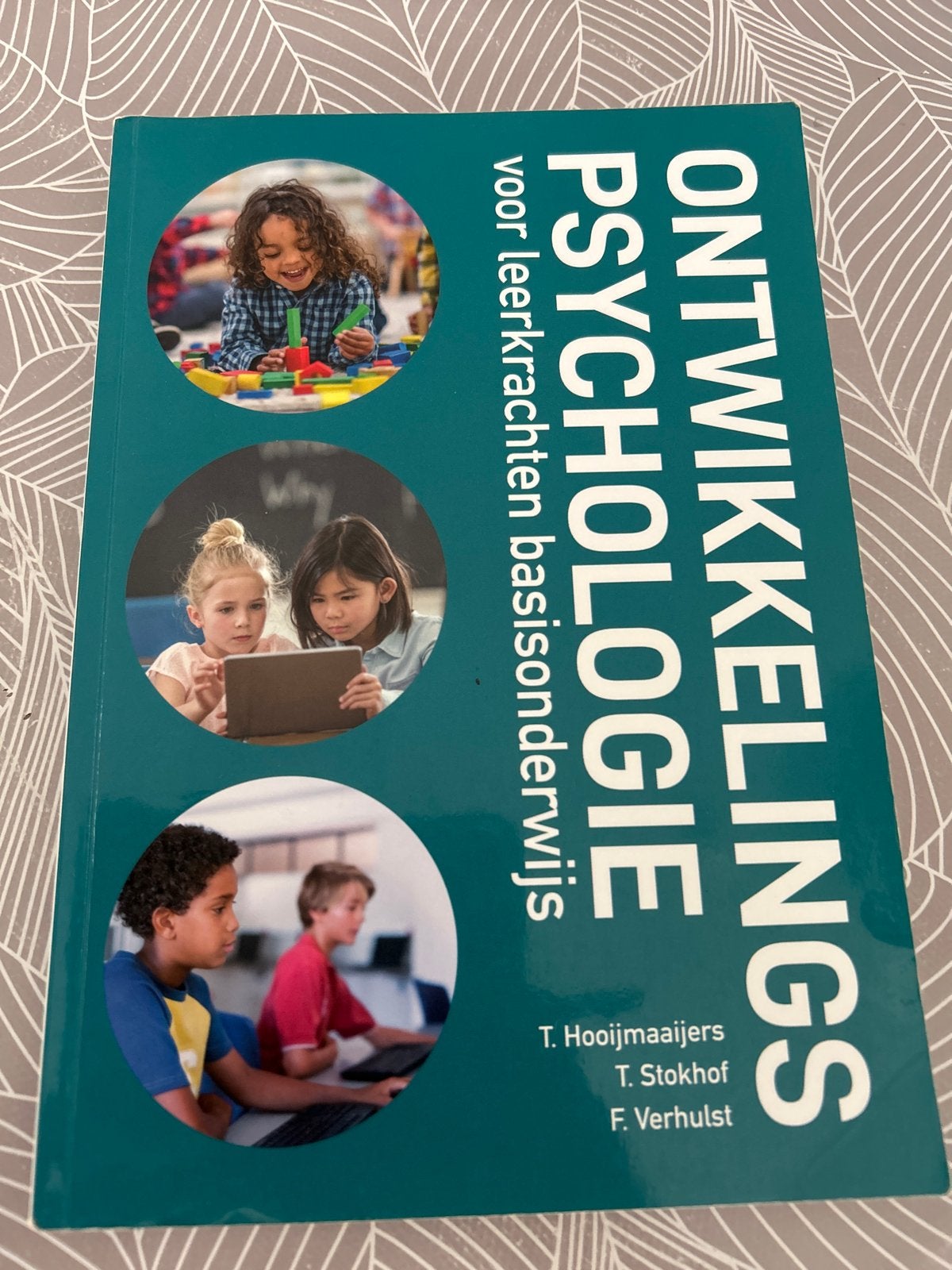 Ontwikkelingspsychologie voor leerkrachten basisonderwijs, Ophalen of Verzenden, Zo goed als nieuw, HBO