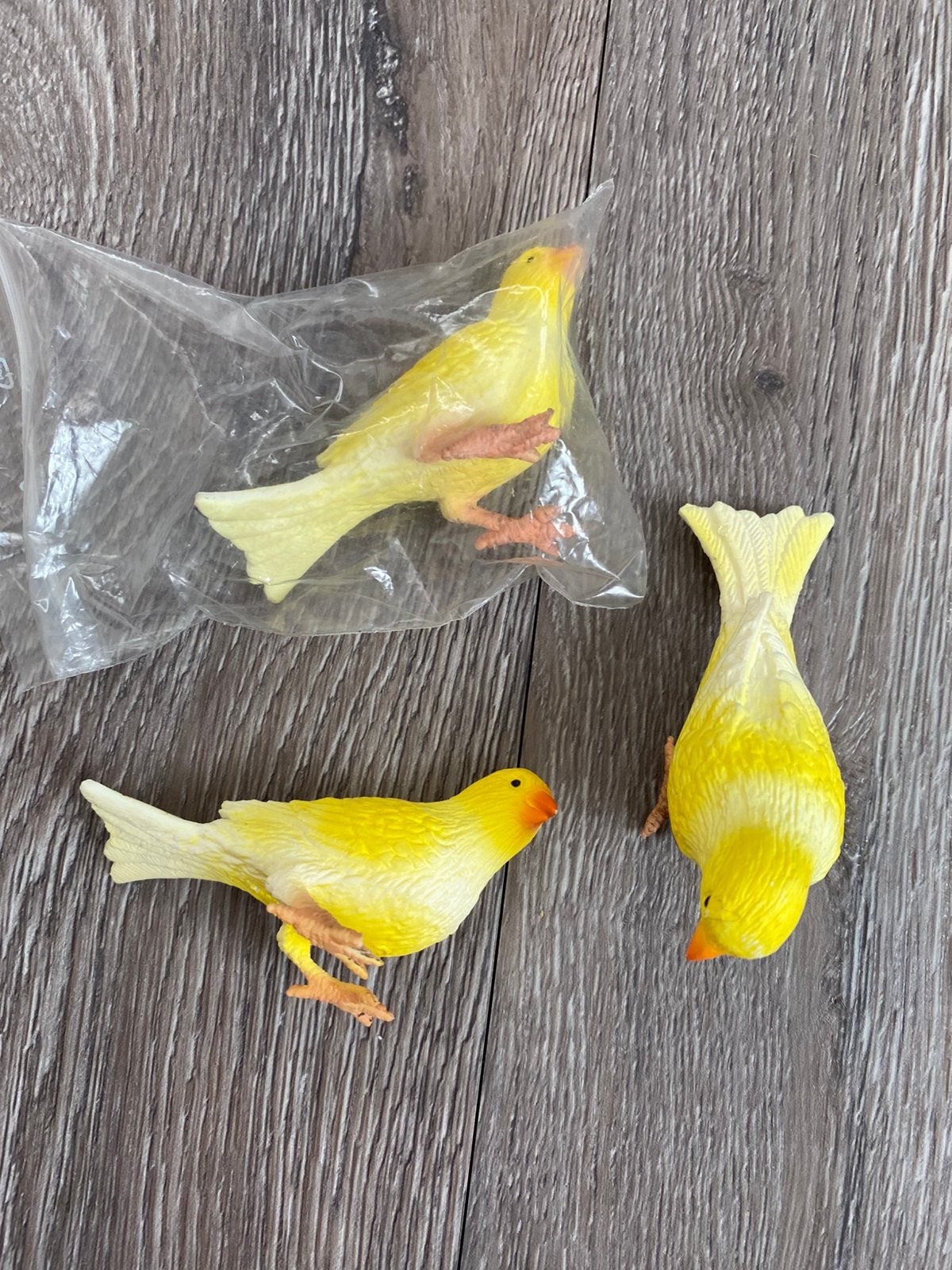 Namaak kanaries, Meerdere dieren, Kleurkanarie