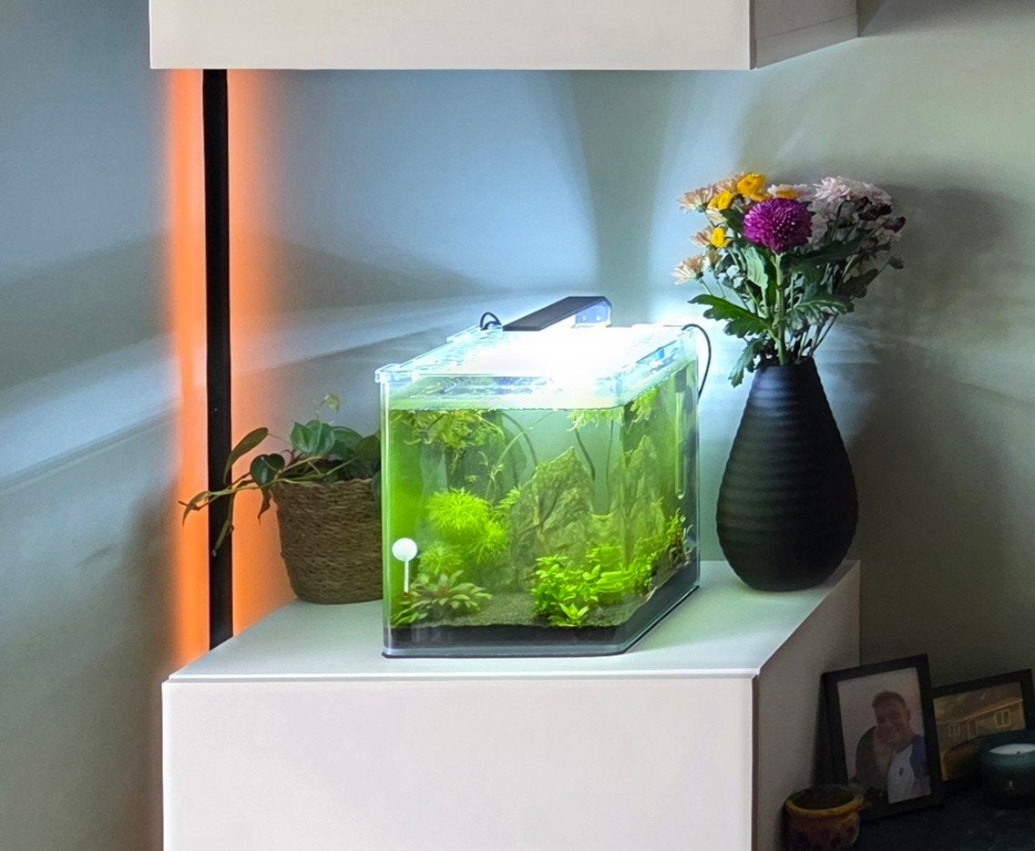 Aquarium Dennerle Nano Cube 20L, Ophalen, Zo goed als nieuw, Leeg aquarium, Dennerle