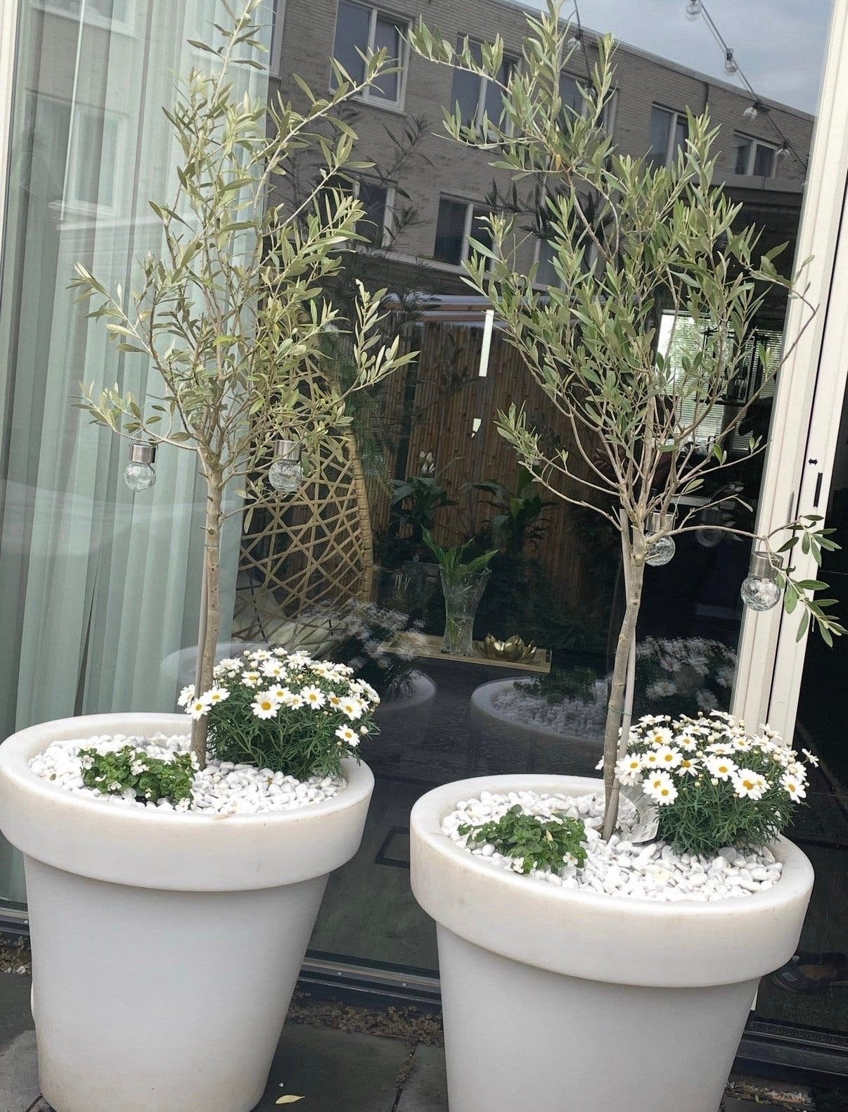 Set van 2 verlichte plantenbakken met olijfbomen, Ophalen, Kunststof, Gebruikt, Balkon