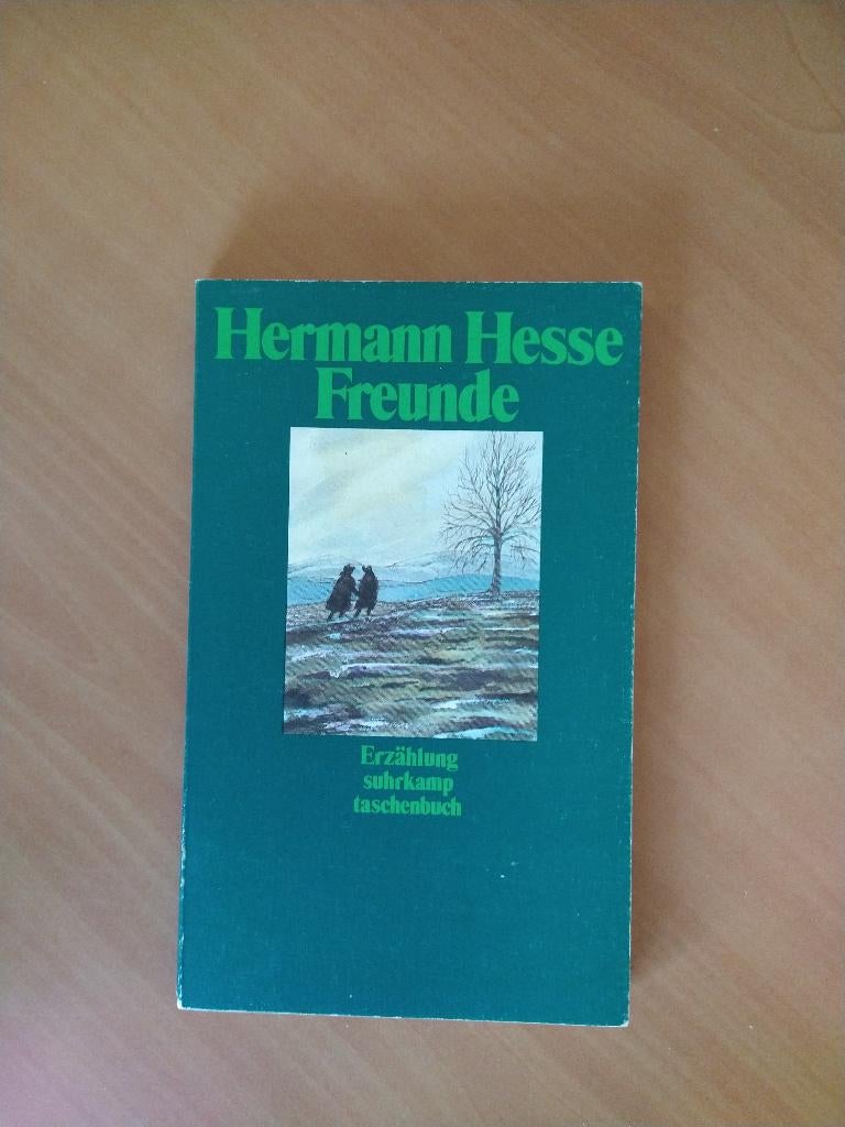 Hesse, Hermann. Freunde, Ophalen of Verzenden, Zo goed als nieuw