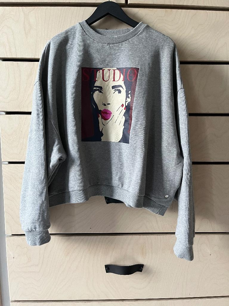 Sweater Studio Anneloes, grijs, xxl, met print, Studio Anneloes, Maat 46/48 (XL) of groter, Ophalen of Verzenden, Zo goed als nieuw