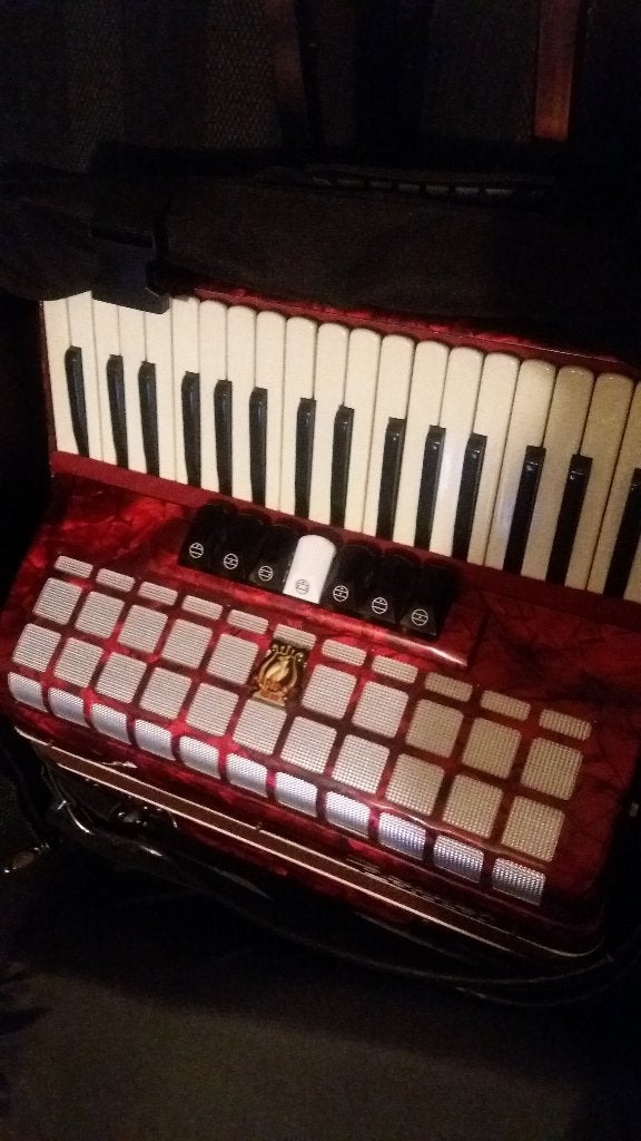 parrot  accordion, Ophalen, Zo goed als nieuw, 120-bas, Overige merken