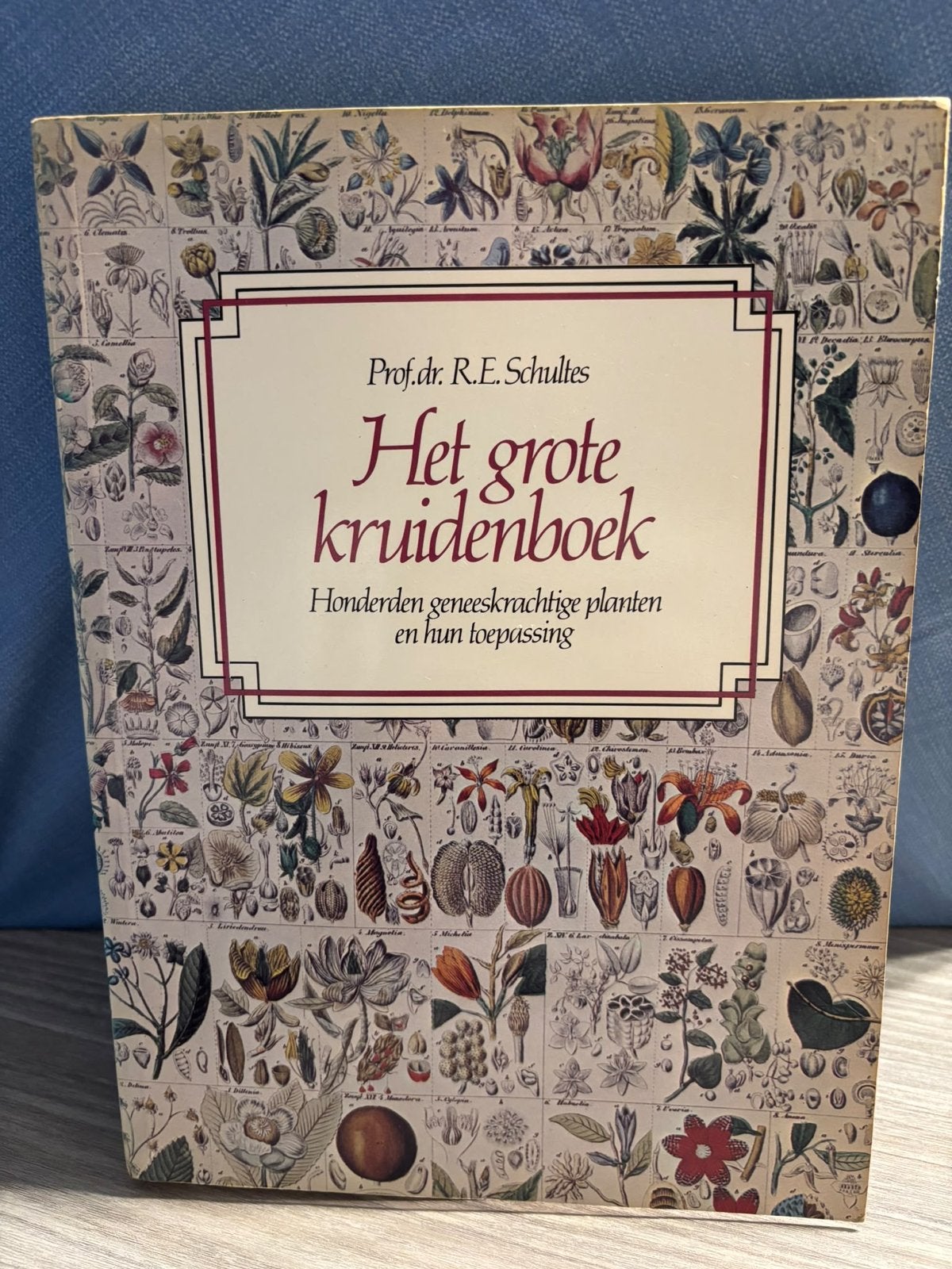 Het grote kruidenboek - Honderden geneeskrachtige planten, Ophalen of Verzenden, Gelezen, Bloemen, Planten en Bomen
