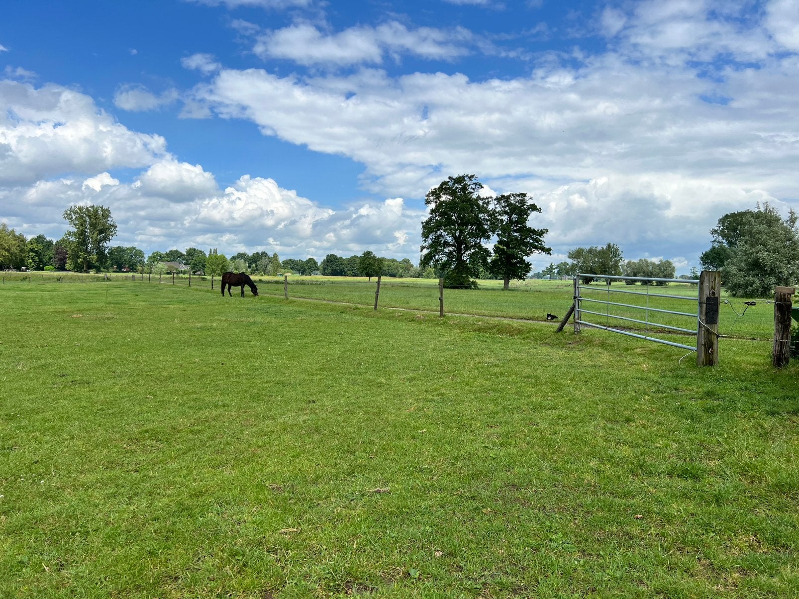 Weidegang plek met ruime schuilstal aangeboden, Dieren en Toebehoren, Stalling en Weidegang, Weidegang, 2 of 3 paarden of pony's