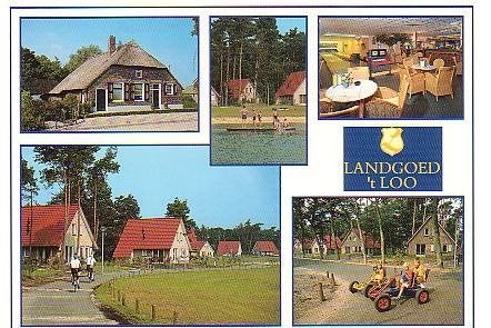 Ansichtkaart 	Oldebroek	 't Loo	Landgoed 't Loo 	5-luik, Verzamelen, Verzenden, 1980 tot heden, Gelopen, Gelderland