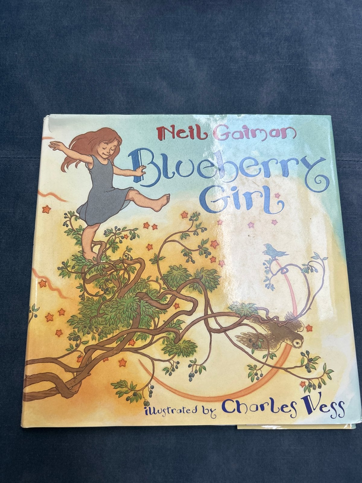 Blueberry Girl - Neil Gaiman (Engels), Ophalen of Verzenden, Gelezen, 3 tot 4 jaar