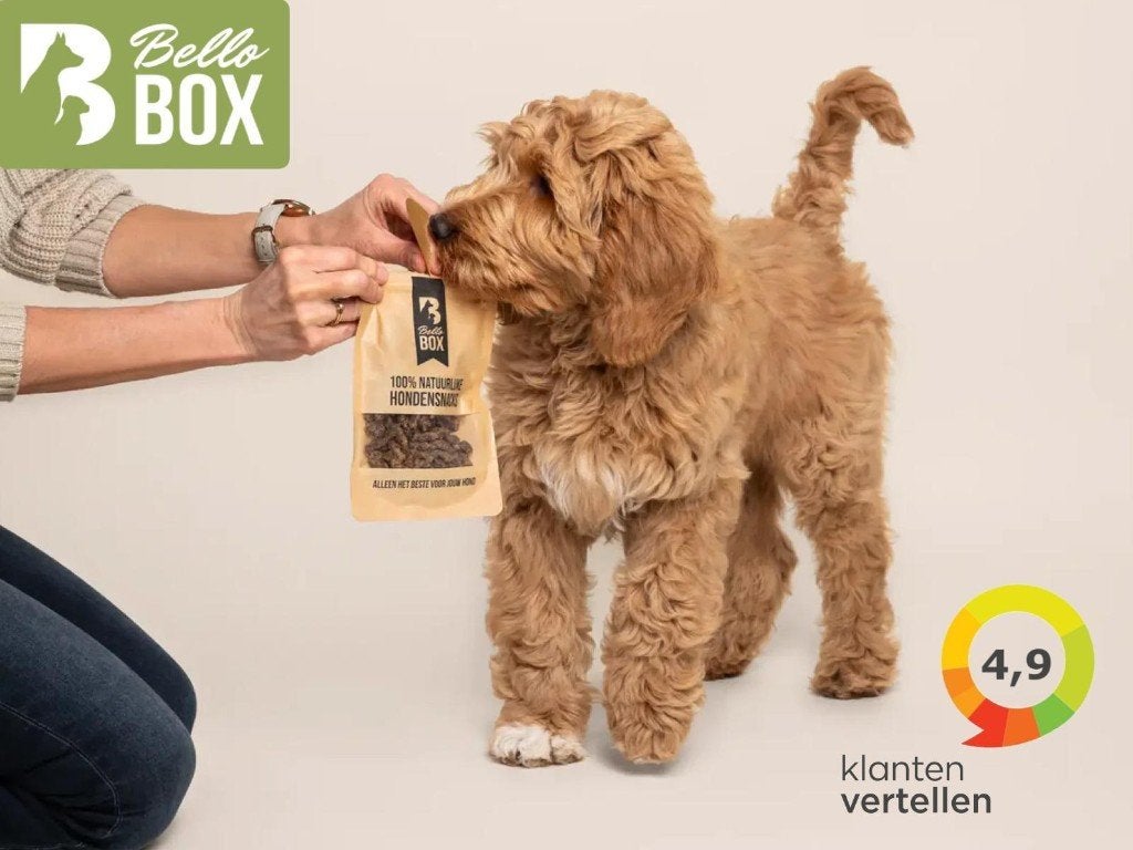 Bellobox 20% kortingsvoucher, Eén persoon, Kortingsbon