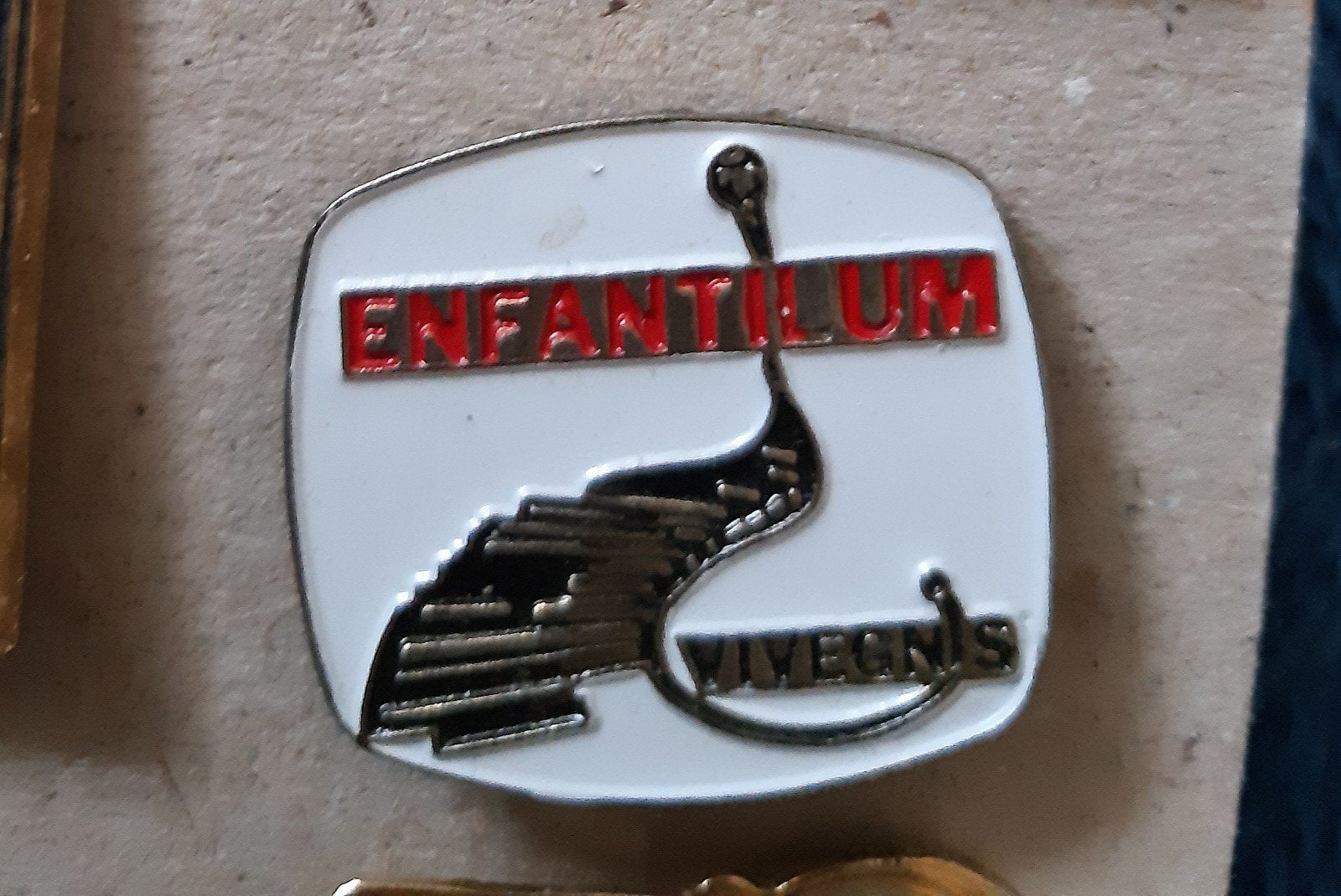 Pin Enfanthum, Ophalen of Verzenden, Nieuw, Overige onderwerpen, Speldje of Pin