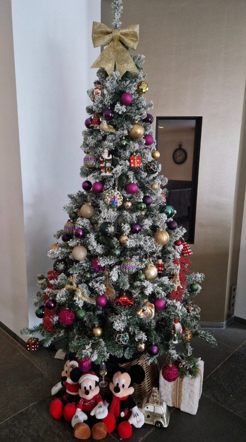 kerstboom zonder decoratie, Diversen, Ophalen