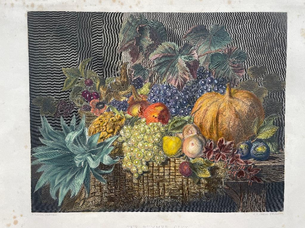C.H. Jeens The Summer Gift 1860, 18 cm, 1800 - 1899, Ophalen of Verzenden, Flora en Fauna