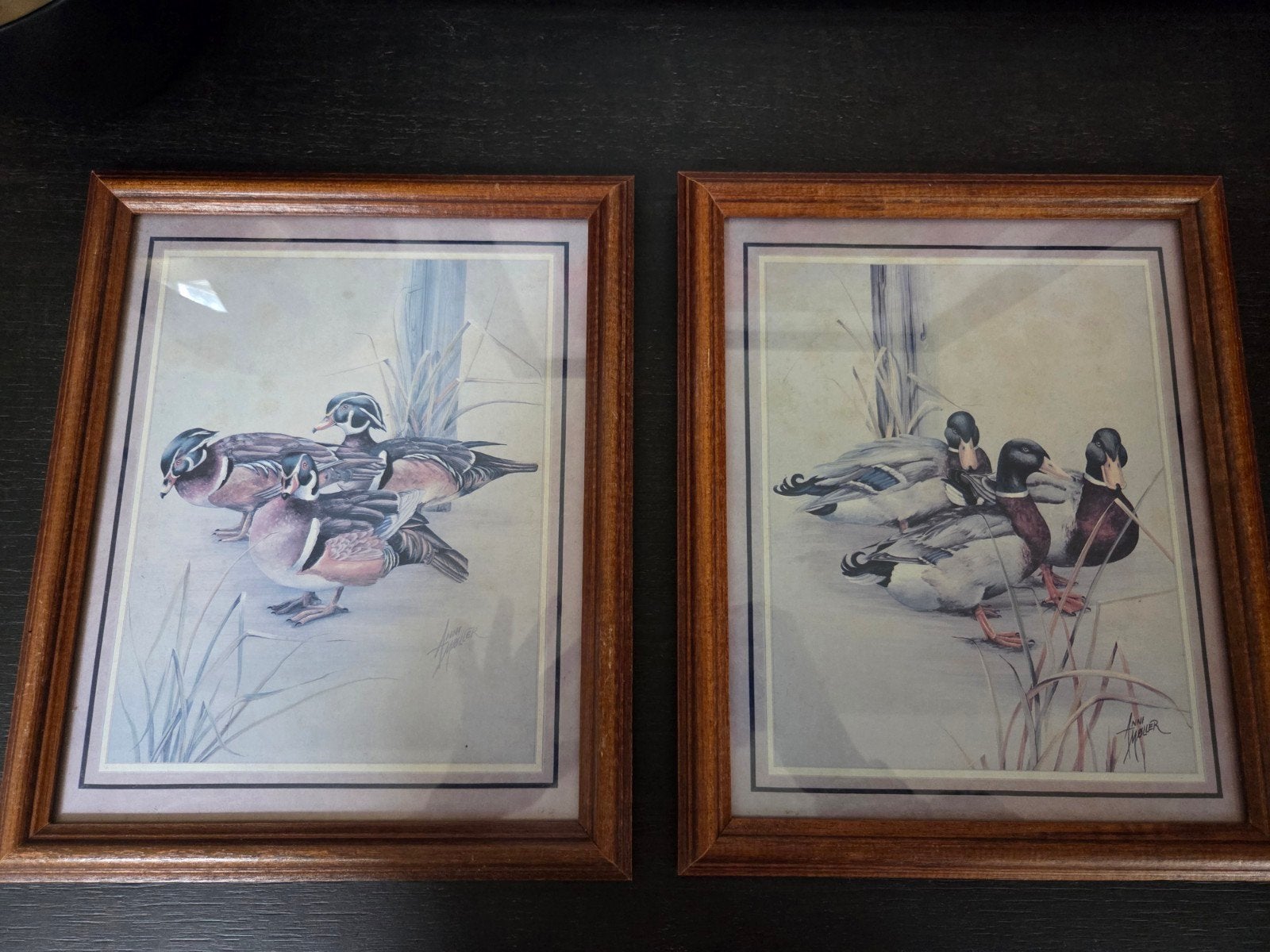 Set van 2 vintage ingelijste eendenprenten – Anni Møller, Ophalen of Verzenden