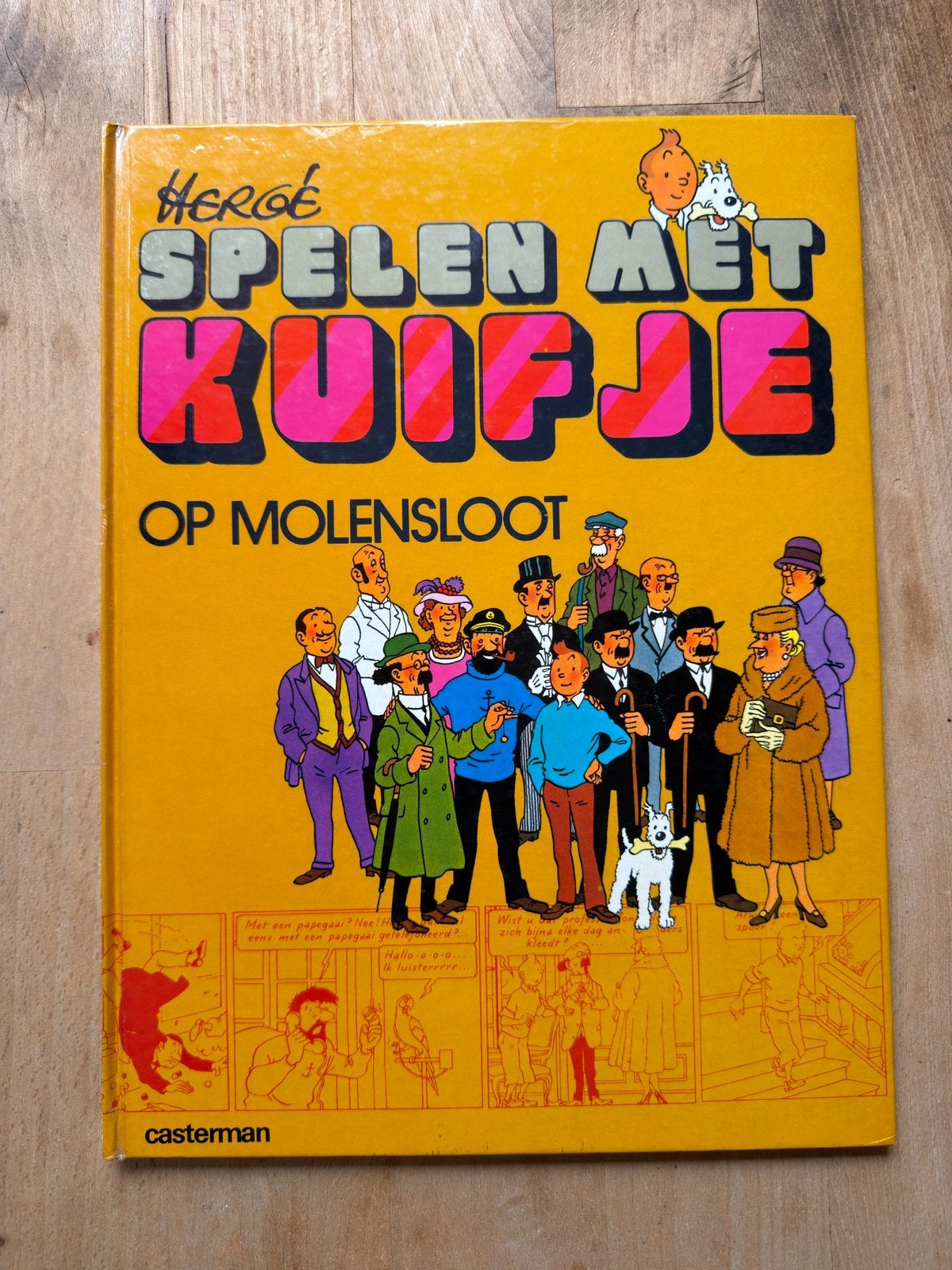 Hergé – Spelen met Kuifje Op Molensloot Casterman Hardcover, Eén stripboek, Ophalen, Zo goed als nieuw