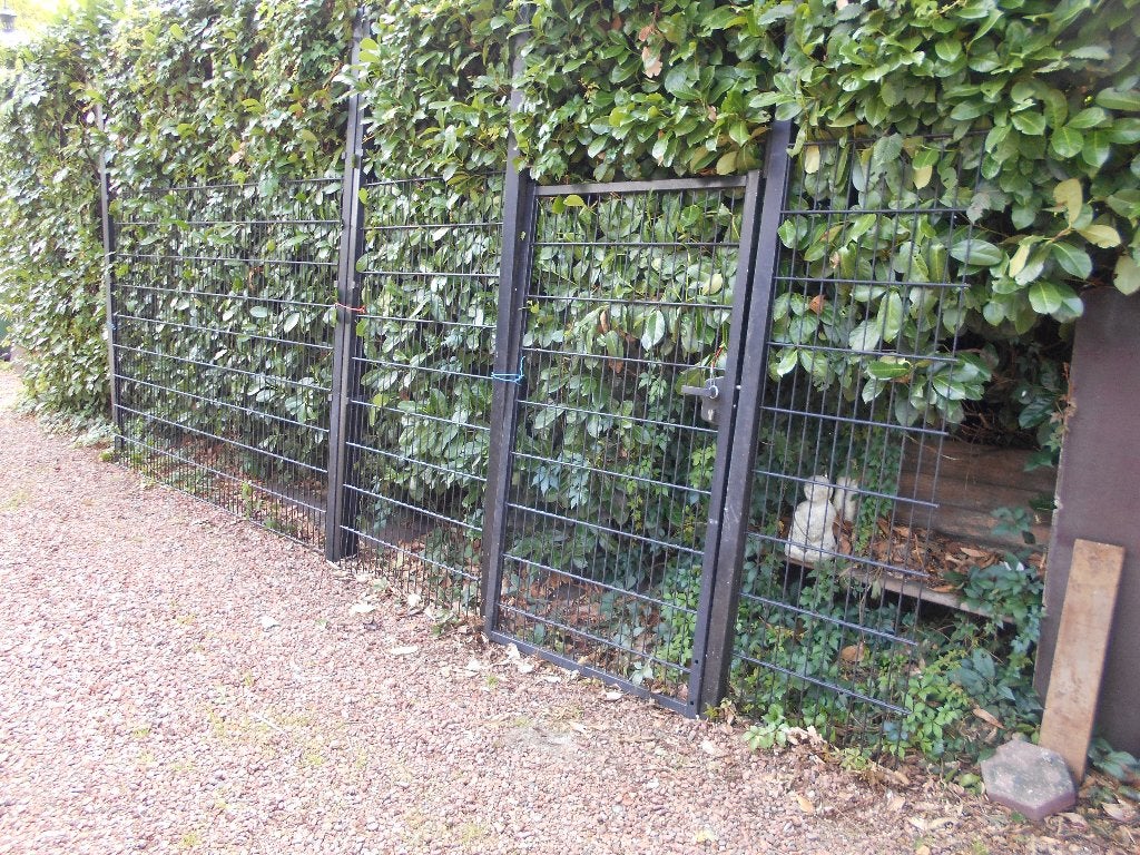 Dubbelstaafmat hekwerk met poort totaal  5.50 meter, Tuin en Terras, Ophalen, Met poort, Gebruikt, Dubbelstaafmat hekwerk