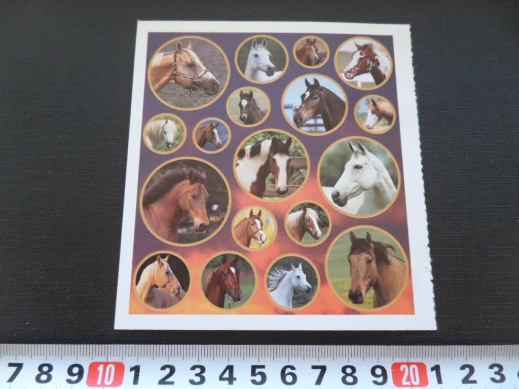 sticker set Paard Paarden GD064 *, Ophalen, Zo goed als nieuw