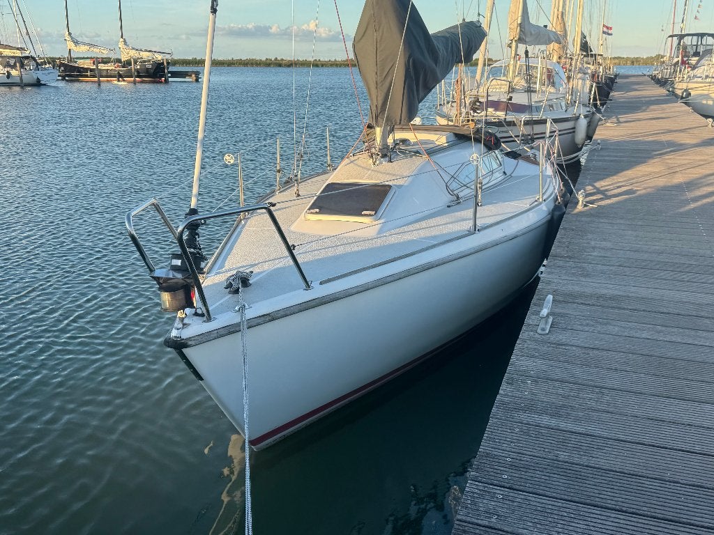 Agoni Bonita 767 - zeer complete zeilboot - racer/cruiser, Overige merken, Gebruikt, Binnenboordmotor, 10 pk