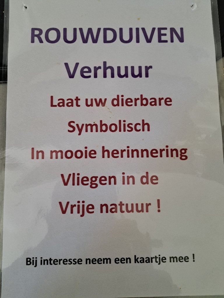 rouwduiven te huur, Meerdere dieren, Postduif