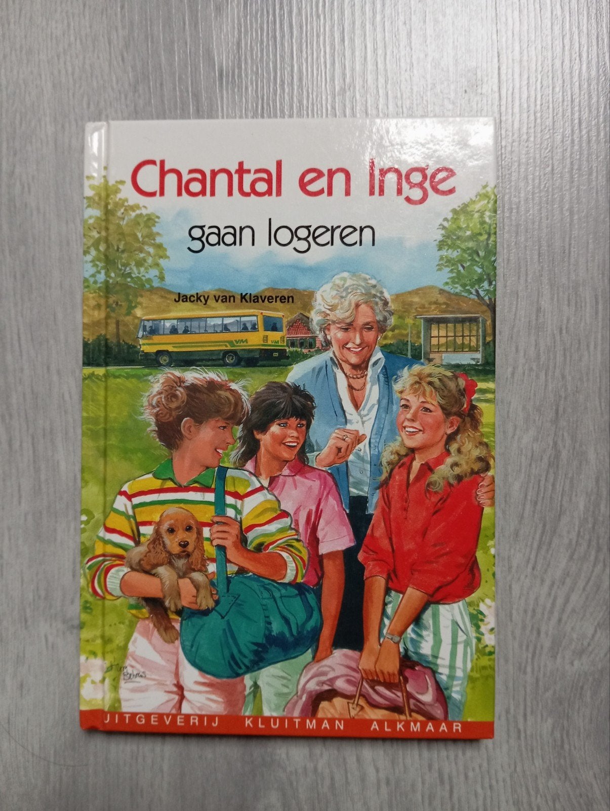 Boek Chantal en Inge gaan logeren, Ophalen of Verzenden
