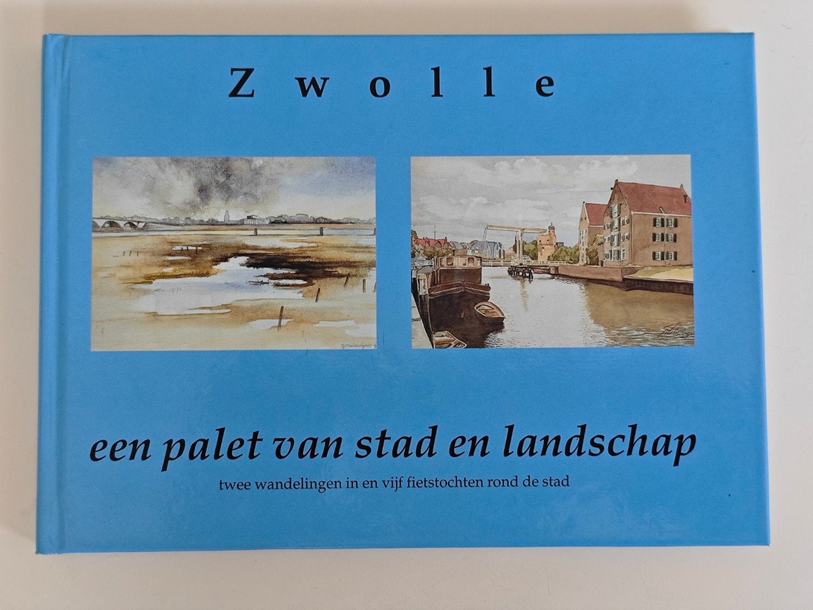 Zwolle: Een Palet van Stad en Landschap, Ophalen of Verzenden, 20e eeuw of later, Gelezen, Onbekend