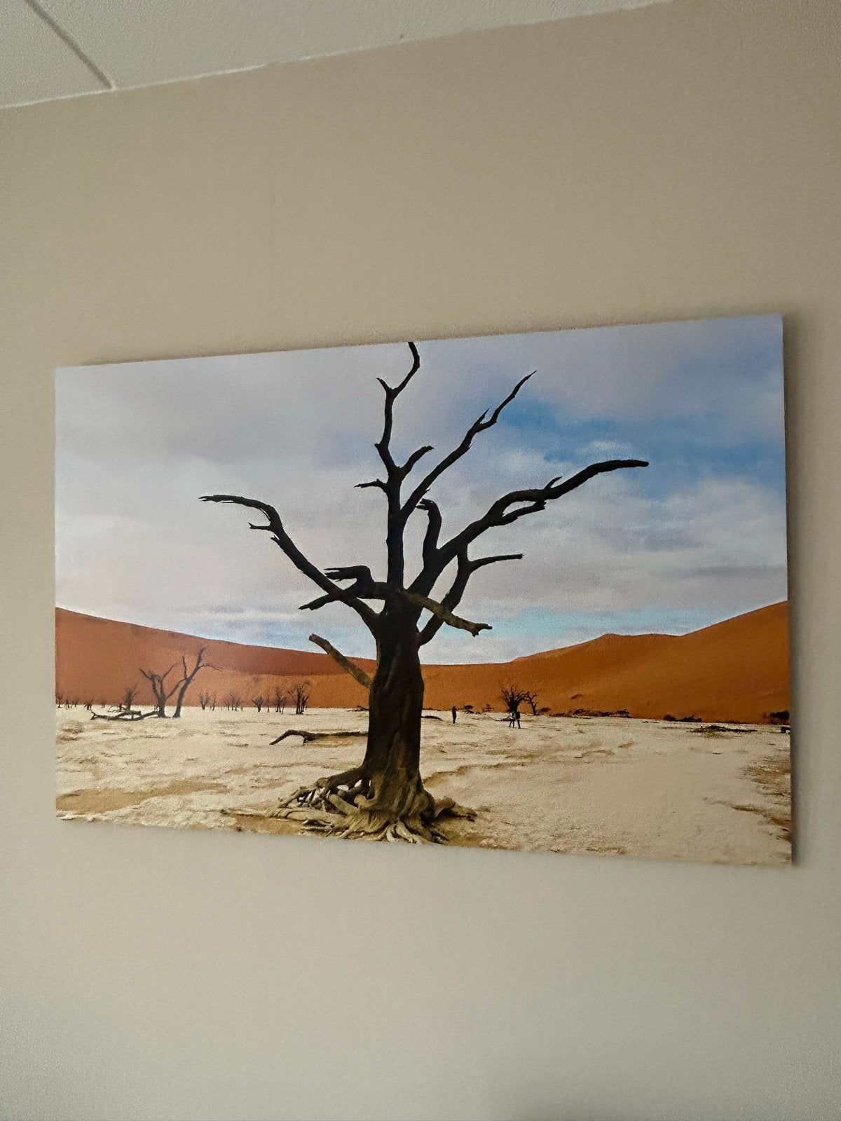 Aluminium fotolijst 120x80cm Dead Vlei Namibië wanddecoratie, Ophalen, Metaal, Meerkleurig, Decoratieobject