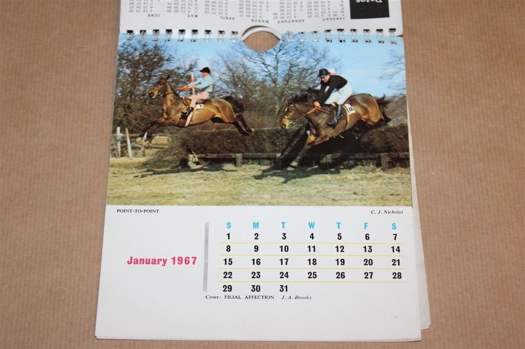 Horse Lovers Calendar 1967 — Vintage Paardenkalender, Boeken, Dieren en Huisdieren, Ophalen of Verzenden, Gelezen, Katten