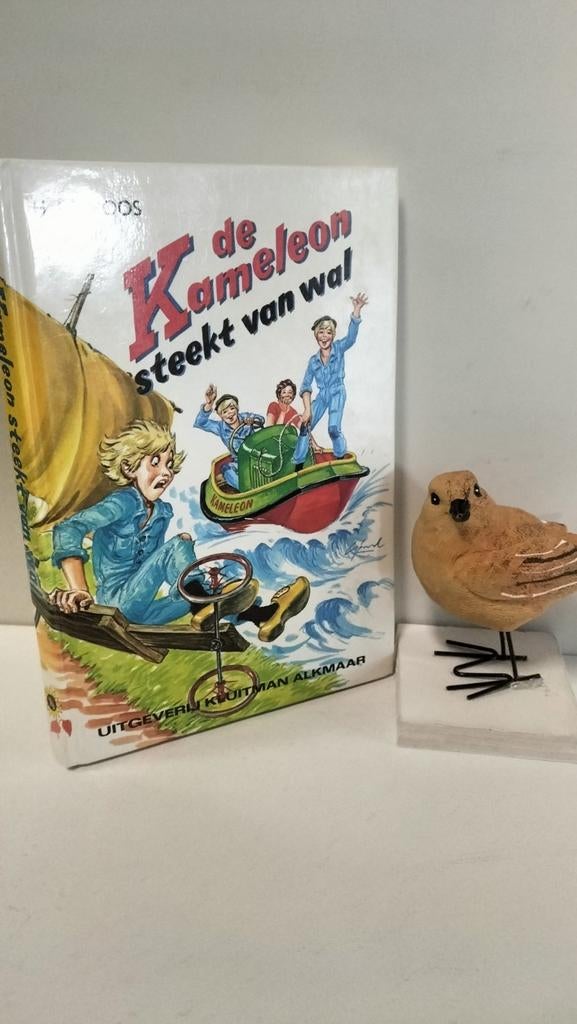 Roos, H. de; De Kameleon steekt van wal, Ophalen of Verzenden, Gelezen