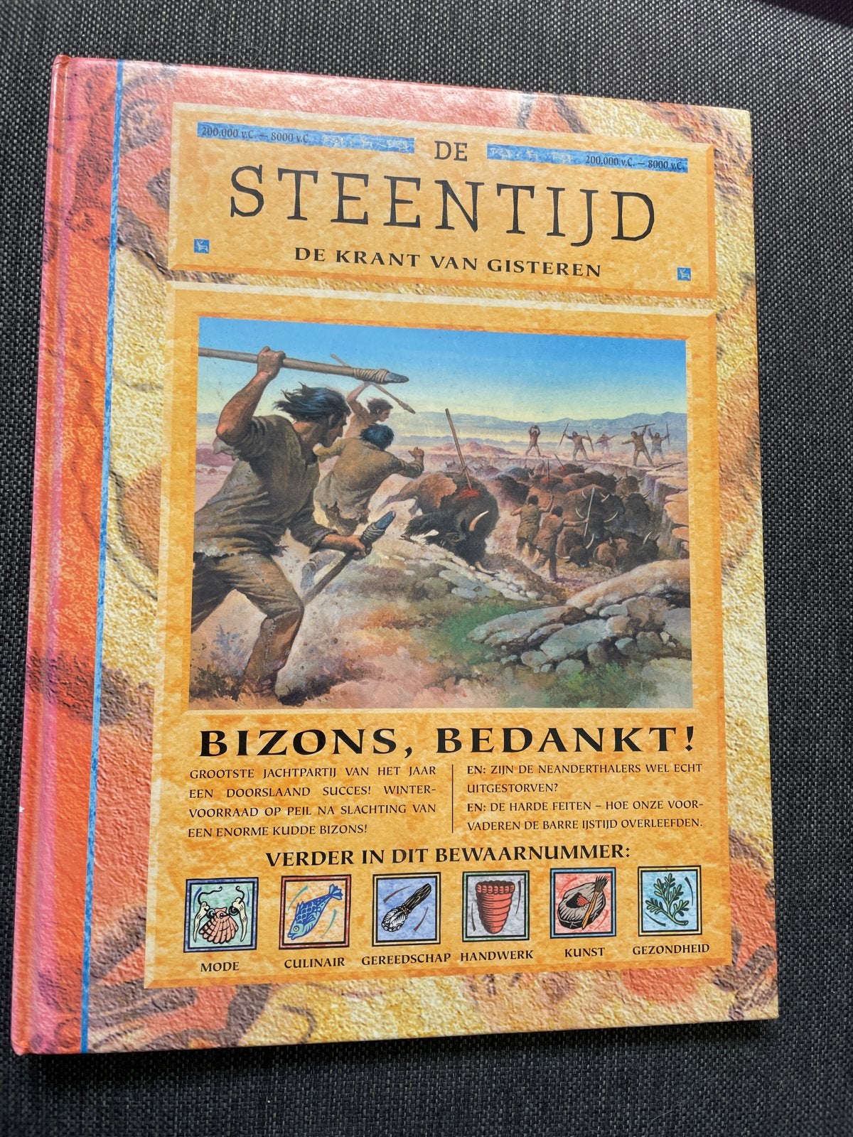De Steentijd: De Krant van Gisteren - Boek, Boeken, Ophalen, 20e eeuw of later, Gelezen