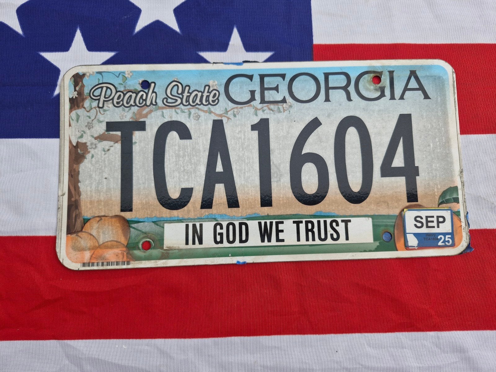 Kentekenplaat Georgia USA Nummerplaat nummerbord License VS, Ophalen of Verzenden, Gebruikt, Auto's