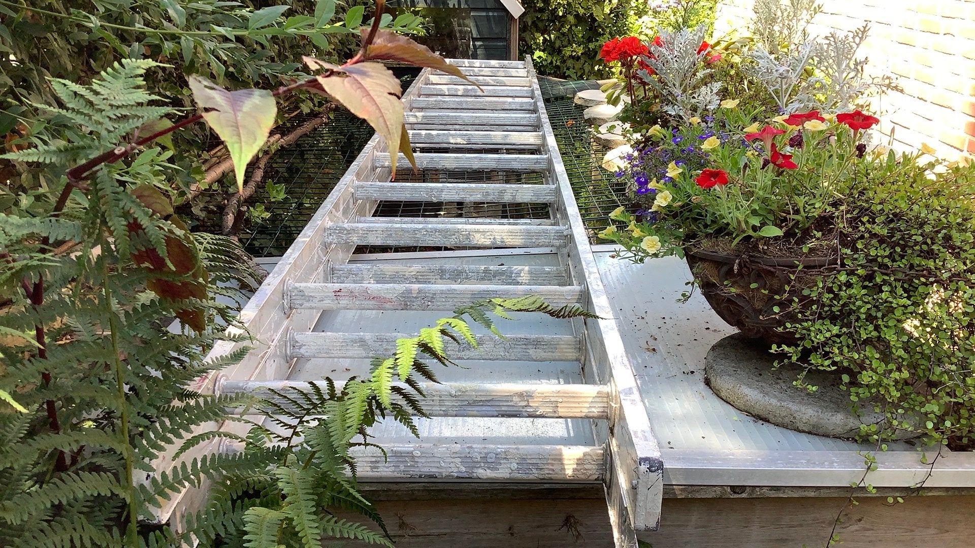 Excelsior aluminium ladder 3,20 cm x 2, Ophalen, 4 meter of meer