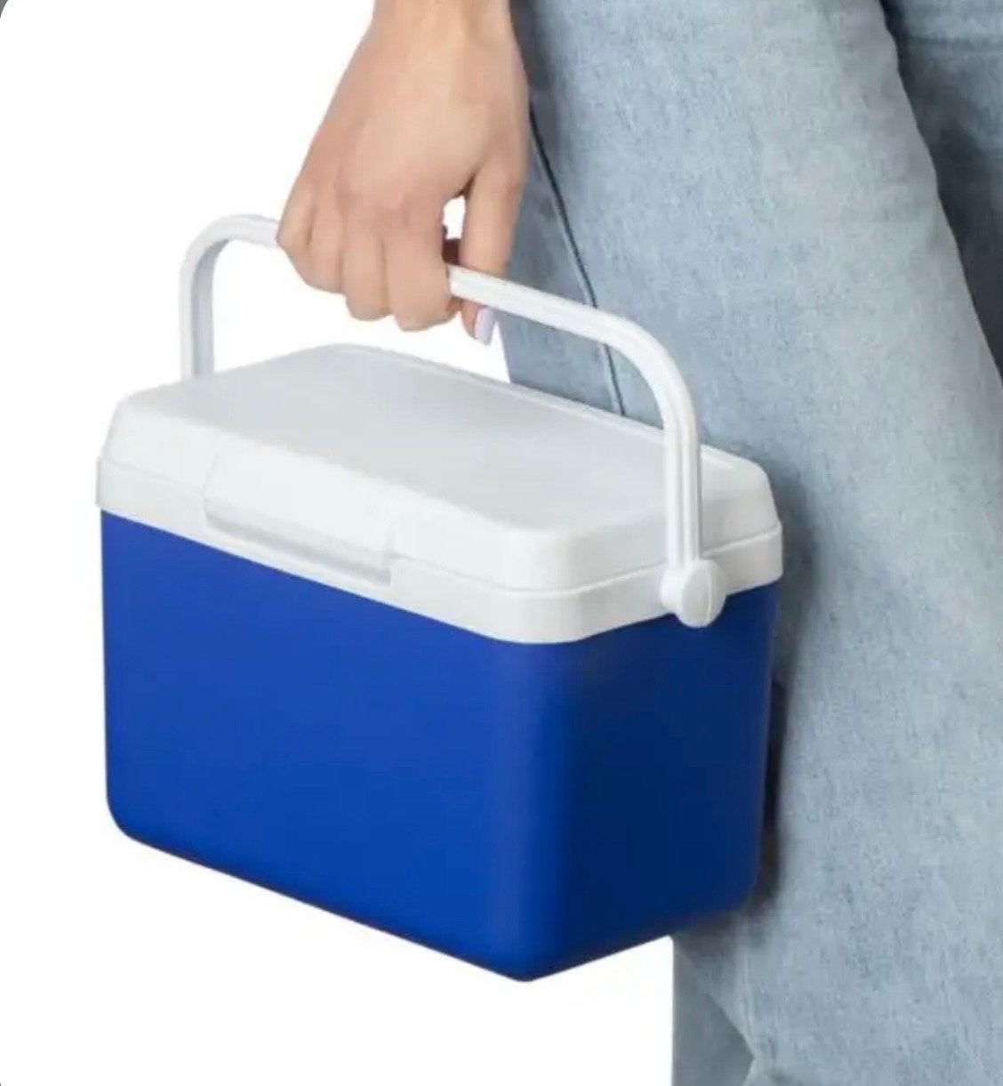 Koelbox 4 Liter - 26x16x18,5 cm nieuw, Ophalen of Verzenden, Nieuw, Koelbox, Koelelement