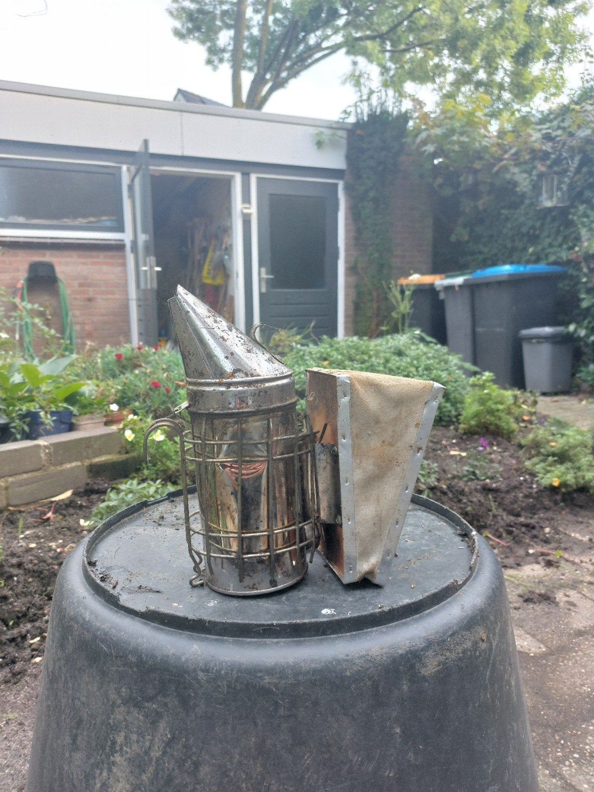 beroker met beschermring, Dieren en Toebehoren, Bijen