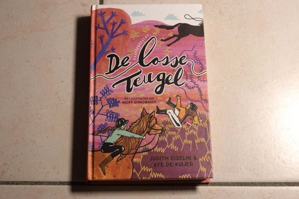 De losse teugel / Judith Eiselin & Aye de Kuijer, Ophalen of Verzenden, Zo goed als nieuw, Fictie algemeen
