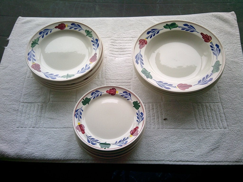 Serviezen, Landelijk/Boerenbont, Ophalen of Verzenden, Zo goed als nieuw, Bord(en)