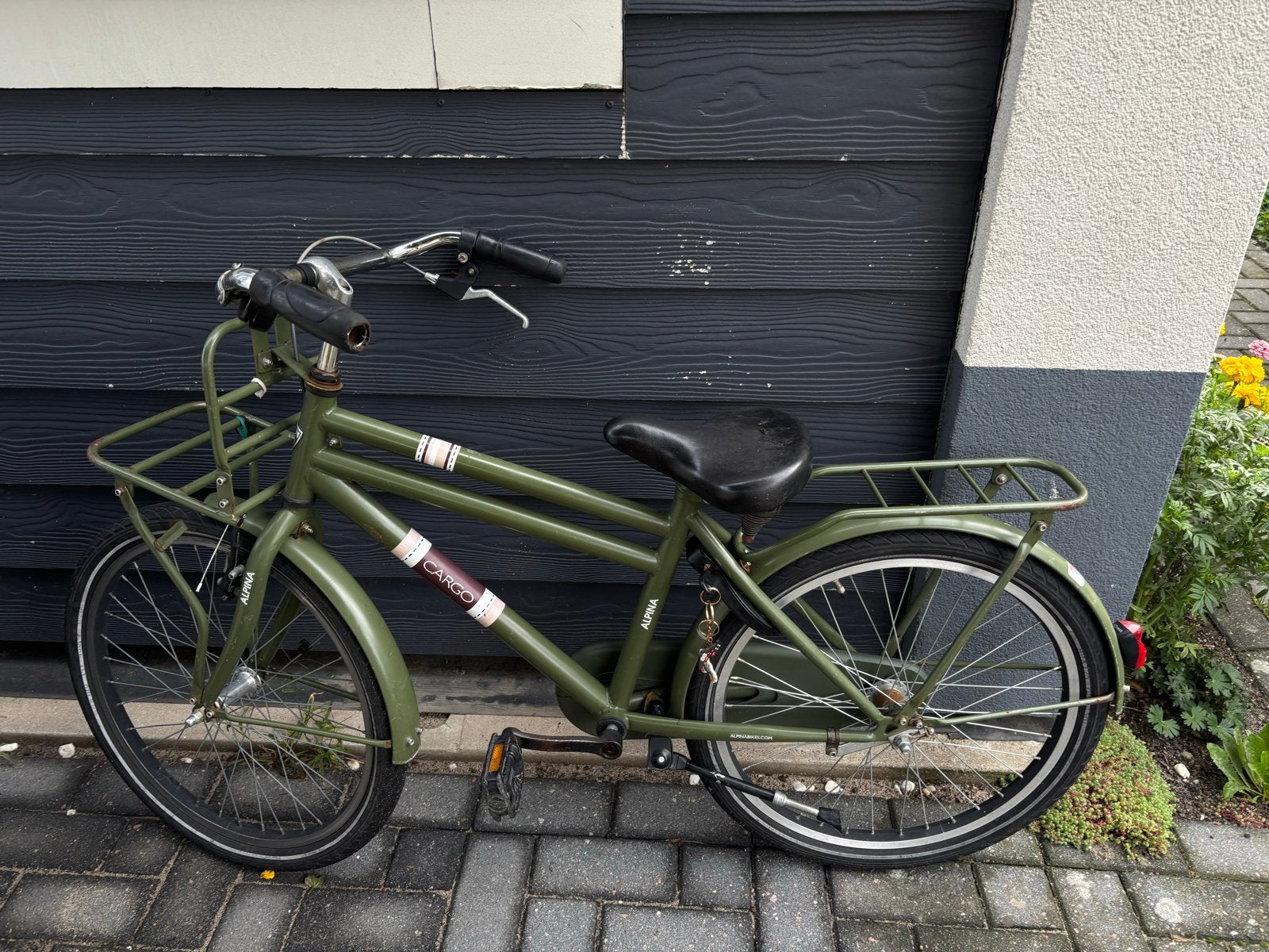 Alpina Cargo fiets - Groen - Gebruikt 22 inch, Ophalen, Gebruikt, Terugtraprem, 20 inch of meer