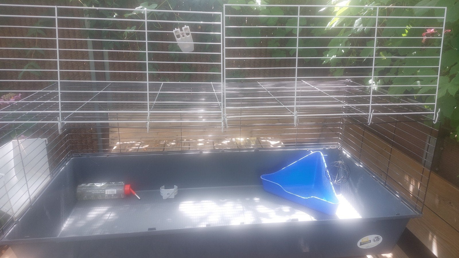Mooi Caviahok te koop, Dieren en Toebehoren, Ophalen, Zo goed als nieuw, Overige typen
