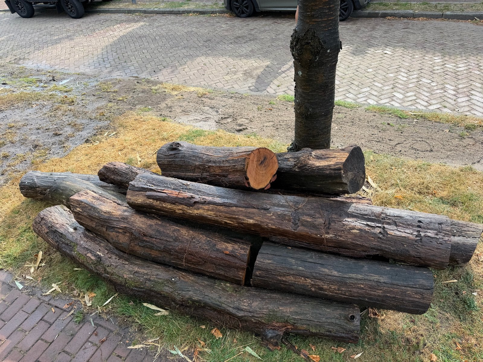 10 Houten stammen voor diverse projecten, Minder dan 3 m³, Ophalen, Overige houtsoorten, Stammen